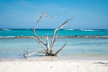 Baby-beach-scaled